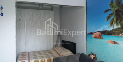 公寓 3-комн 47 m² - 帕纳瓦兹国王, Batumi