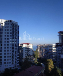 公寓 2-комн 35 m² - 尼科·皮罗斯马尼, Batumi