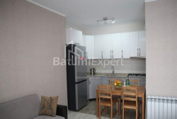 公寓 3-комн 65 m² - 沙尔瓦·伊纳萨里泽, Batumi