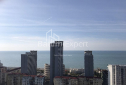 公寓 42 平方米的公寓 - 尼科·皮罗斯马尼, Batumi, 佐治亚州。