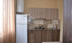 公寓 3-комн 42 m² - 尤里耶夫斯卡娅, Batumi