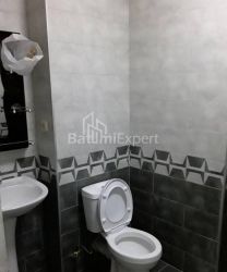 公寓 1-комн 31 m² - 尼科·皮罗斯马尼, Batumi