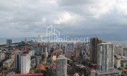 公寓 1-комн 31 m² - 尼科·皮罗斯马尼, Batumi