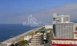 公寓 1-комн 28 m² - 尤里耶夫斯卡娅, Batumi