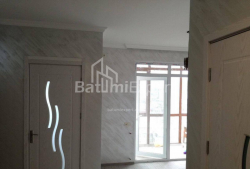 公寓 3-комн 48 m² - 佩特拉梅利什维利, Batumi