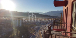 公寓 1-комн 28 m² - 佩特拉·巴格拉季昂尼, Batumi