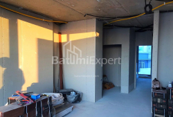 公寓 4-комн 103 m² - 尼科·皮罗斯马尼, Batumi