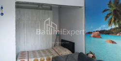 公寓 3-комн 48 m² - 帕纳瓦兹国王, Batumi