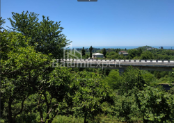 地块 536 m² - 阿格马谢内贝利, Chakvi