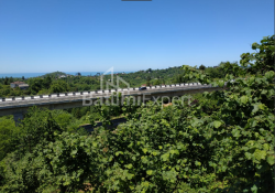 地块 536 m² - 阿格马谢内贝利, Chakvi