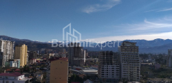公寓 1-комн 31.3 m² - 沙尔瓦·伊纳萨里泽, Batumi