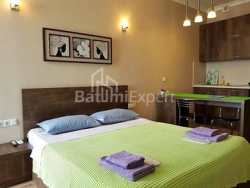 公寓 1-комн 29 m² - 祖拉巴戈尔吉拉泽, Batumi