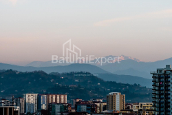 公寓 33.1 平方米的公寓 - 沙尔瓦·伊纳萨里泽, Batumi, 佐治亚州。