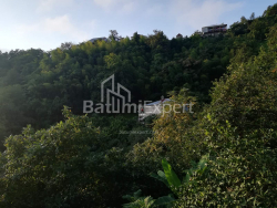 私宅 4-комн 2501 m² - 阿卡基谢尼泽, Khelvachauri