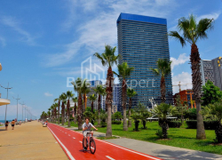 公寓 2-комн 50 m² - 治安官 Khimshiashvili, Batumi
