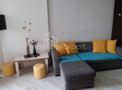 公寓 2-комн 35.6 m² - 尼科·皮罗斯马尼, Batumi