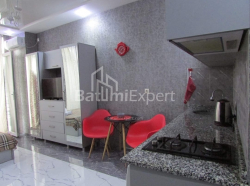公寓 1-комн 32 m² - 尼科·皮罗斯马尼, Batumi