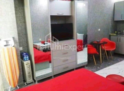 公寓 1-комн 32 m² - 尼科·皮罗斯马尼, Batumi