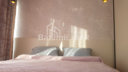 公寓 58.7 平方米的公寓 - 尼科·皮罗斯马尼, Batumi, 佐治亚州。
