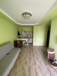 公寓 2-комн 46 m² - 格里戈拉埃利亚瓦, Batumi