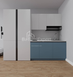 公寓 1-комн 30.3 m² - 沙尔瓦·伊纳萨里泽, Batumi