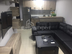 公寓 2-комн 45 m² - 亚历山德拉·普希金, Batumi