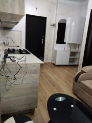 公寓 2-комн 29 m² - 沙尔瓦·伊纳萨里泽, Batumi